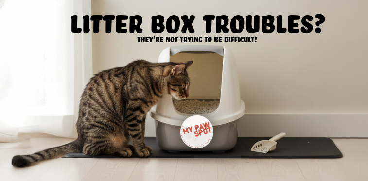 Litter Box Problems_mypawspot