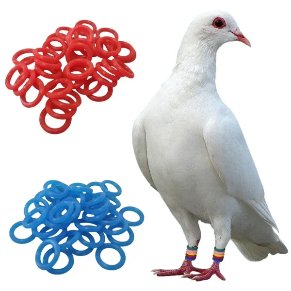 100PCS Pigeon Foot Rubber Ring Colorful Elastic Identification Rings for Carrier Pigeon Racing Pigeons Bird Appliances 8mm