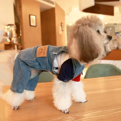 Denim Pet Overalls for French Bulldog – Jean Jumpsuit for Small & Medium Dogs, Spring & Summer Fashion Clothes