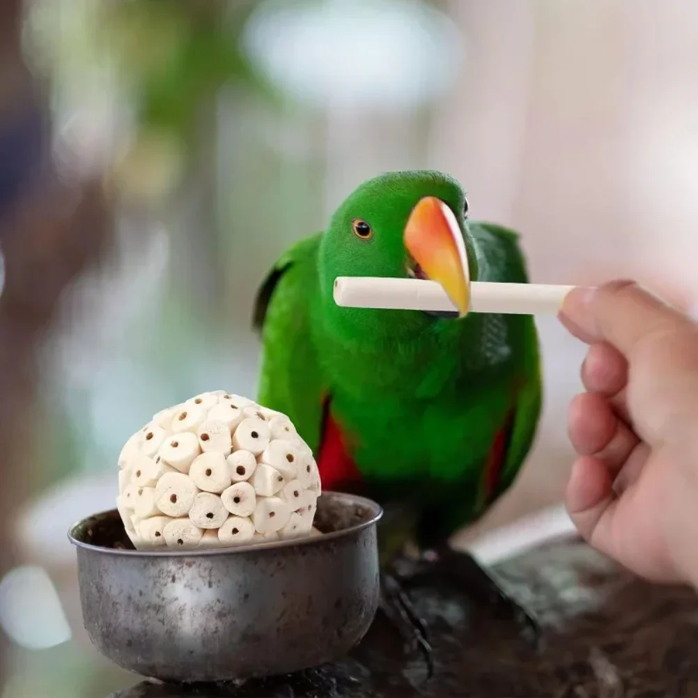 Parrot Chewing Foraging Ball Toy – Shred & Chew Cage Accessory for Parakeets, Budgies & Cockatiels - Image 6